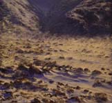 Antarctic-Paintings Alaska Painter David Rosenthal Brooks Range North Wind